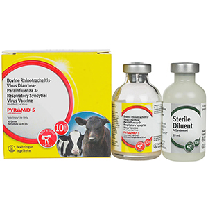 Pyramid 5 10 Dose - 20 mL (Keep Refrigerated)