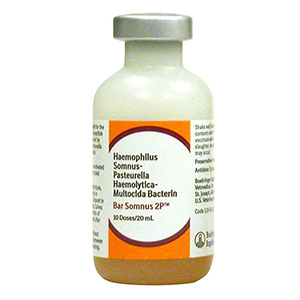 Bar-Somnus 2P 10 Dose - 20 mL (Keep Refrigerated)