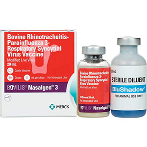 Bovilis Nasalgen 3 10 Dose - 20 mL (Keep Refrigerated)