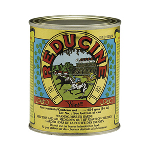 Reducine Original Absorbent - 16 oz