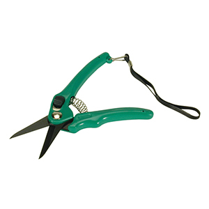 Supersharp Footrot Shears