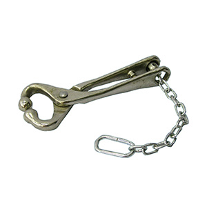 Ideal Bull Lead with Chain