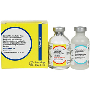 Pyramid 10 10 Dose - 20 mL (Keep Refrigerated)