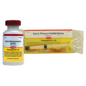 Pneumabort K+1b 1 Dose - 2 mL (Keep Refrigerated)