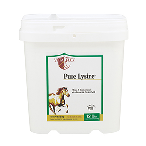 Pure Lysine Supplement 448 Day Supply - 4 lb