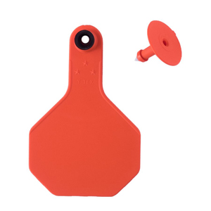 Y-Tex All American 3 Star Medium 2 Piece Ear Tag - Orange Blank