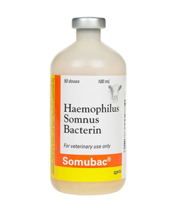 Somubac 50 Dose - 100 mL (Keep Refrigerated)