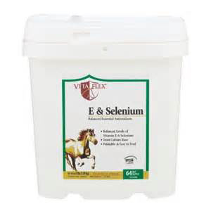 E & Selenium - 4 lb