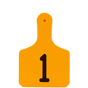 Y-Tag Calf Orange Laser, 1-25