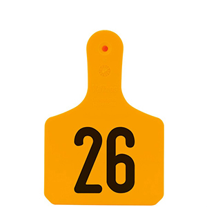 Y-Tag Calf Orange Laser, 26-50