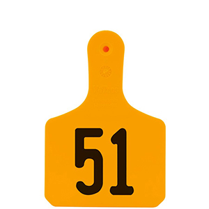 Y-Tag Calf Orange Laser, 51-75