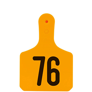 Y-Tag Calf Orange Laser, 76-100