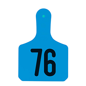 Y-Tags Calf Blue Laser, 76-100