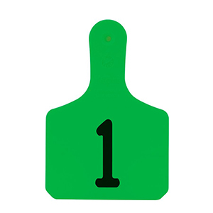 Y-Tags Calf Green Laser, 1-25
