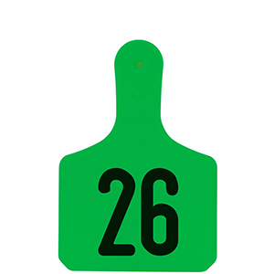 Y-Tag Calf Green Laser, 26-50