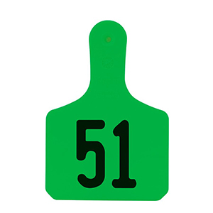 Y-Tags Calf Green Laser, 51-75