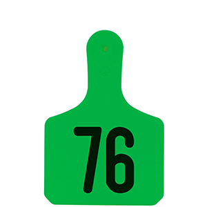 Y-Tag Calf Green Laser, 76-100