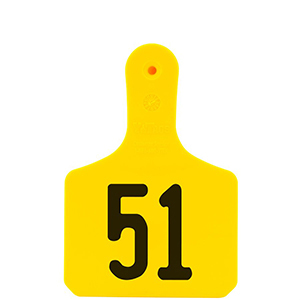 Y-Tag Calf Yellow Laser, 51-75