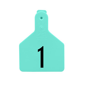 Z-Tags Calf Laser - 51-75, Turquoise (25 Pack)