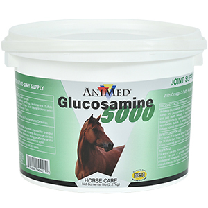 Glucosamine 5000 Powder - 5 lb