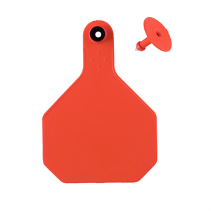 Y-Tex All American 4 Star Large 2 Piece Ear Tag - Orange Blank