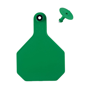 Y-Tex All American 4 Star Large 2 Piece Ear Tag - Green Blank