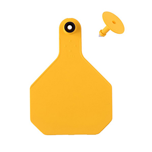Y-Tex All American 4 Star Large 2 Piece Ear Tag - Yellow Blank
