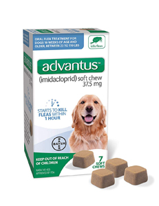 Advantus Flea Treatment Soft Chews for Dogs 23-110 lb - (7 Pack)