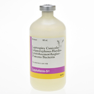 LeptoFerm-5 50 Dose - 100 mL (Keep Refrigerated)