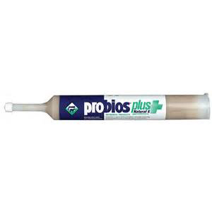 Probios Plus E Gel - 300 cc