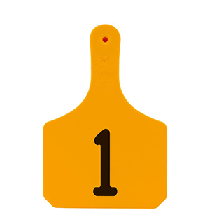 Y-Tag Cow Orange Laser, 1-25