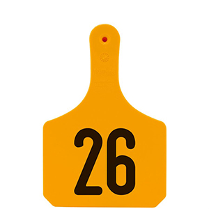 Y-Tag Cow Orange Laser, 26-50