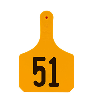 Y-Tag Cow Orange Laser, 51-75