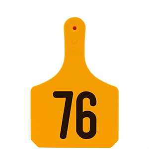 Y-Tag Cow Orange Laser, 76-100