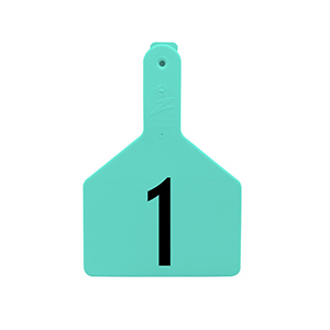 Z-Tags Cow Laser - 51-75, Turquoise (25 Pack)