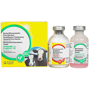 Pyramid 5 + Presponse SQ 10 Dose - 20 mL (Keep Refrigerated)