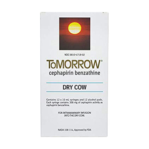 ToMorrow - 10 mL Syringe