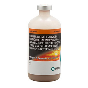 Vision 8 50 Dose - 100 mL (Keep Refrigerated)