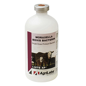 I-Site XP - 100 mL (Keep Refrigerated)