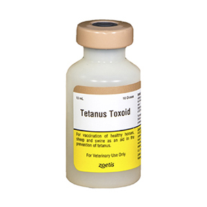 Tetanus Toxoid 10 Dose - 10 mL (Keep Refrigerated)