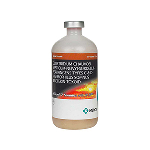Vision 7 Somnus 50 Dose - 100 mL (Keep Refrigerated)
