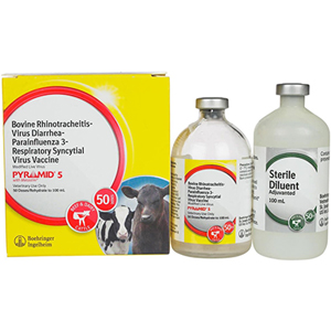 Pyramid 5 50 Dose - 100 mL (Keep Refrigerated)