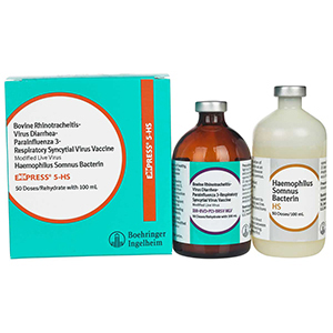 Express 5-HS 50 Dose - 100 mL (Keep Refrigerated)