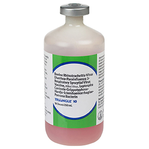 Triangle 10 50 Dose - 250 mL (Keep Refrigerated)