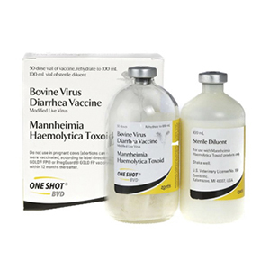 One Shot BVD 50 Dose - 100 mL (Keep Refrigerated)