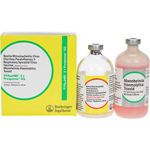 Pyramid 5 + Presponse SQ 50 Dose - 100 mL (Keep Refrigerated)
