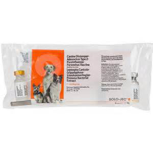 Solo-Jec 9 with Syringe 1 Dose (Keep Refrigerated)