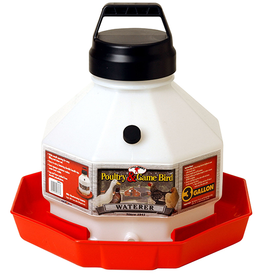 Little Giant Plastic Poultry Fount 3 gal