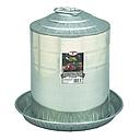 Little Giant Double Wall Metal Poultry Fount 5 gal