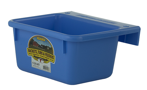 Little Giant Mini Feeder 6 qt Berry Blue